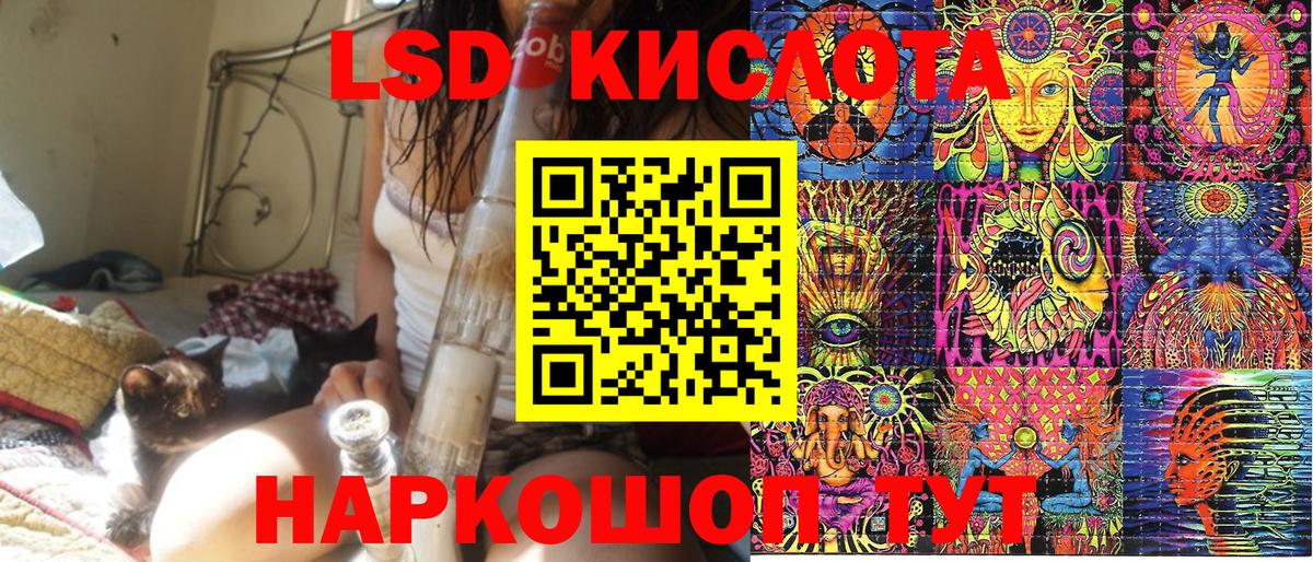 Наркотические марки  Вход с VPN  Елизово  Марки N-bome 1,5мг  Марки N-bome 1,5мг 
