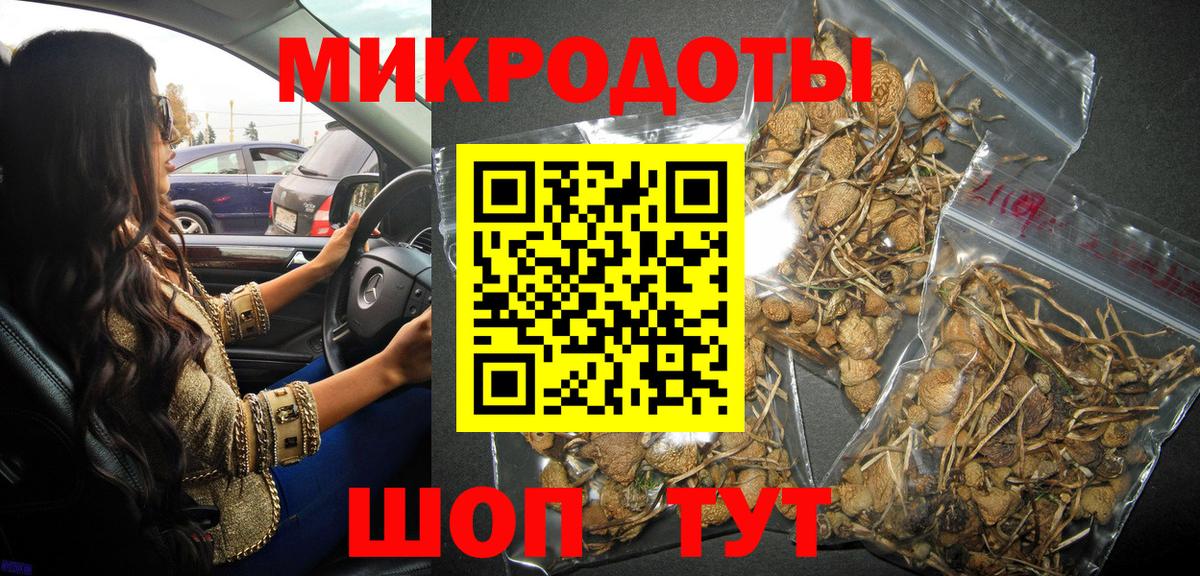 Елизово  Галлюциногенные грибы GOLDEN TEACHER  Вход с VPN 
