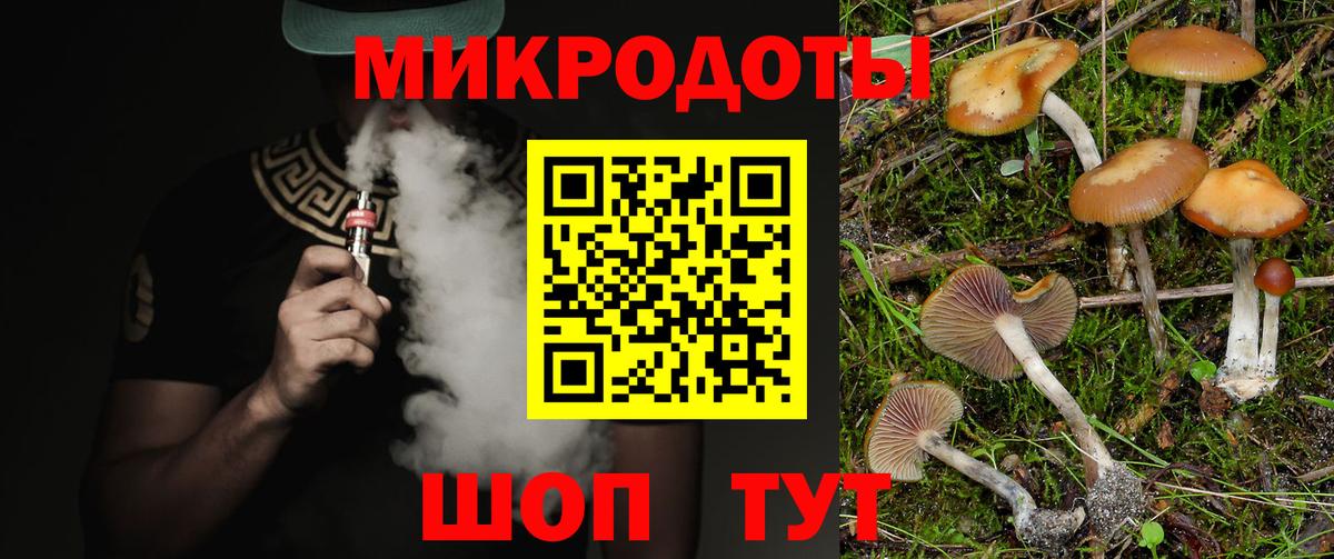 Галлюциногенные грибы MAGIC MUSHROOMS Елизово